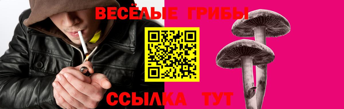 Галлюциногенные грибы мухоморы  Вход с VPN  Белово  Галлюциногенные грибы ЛСД 